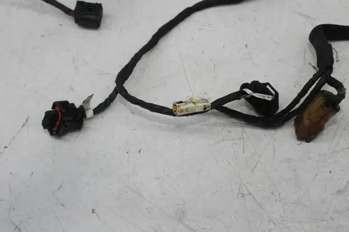 18-21 DUCATI PANIGALE V4 SPECIALE ENGINE SUB WIRING HARNESS WIRE LOOM