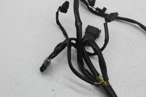 01-06 HARLEY-DAVIDSON HERITAGE SOFTAIL CLASSIC FLSTCI MAIN ENGINE WIRING HARNESS