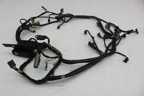 01-06 HARLEY-DAVIDSON HERITAGE SOFTAIL CLASSIC FLSTCI MAIN ENGINE WIRING HARNESS