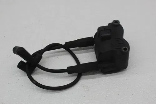 01-06 HARLEY-DAVIDSON HERITAGE SOFTAIL CLASSIC FLSTCI MAIN ENGINE WIRING HARNESS