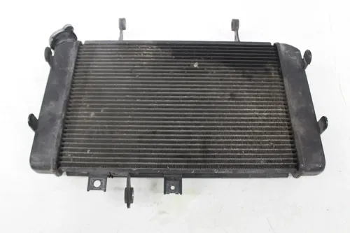 12-16 SUZUKI VSTROM 650 DL650 ENGINE COOLER COOLING RADIATOR RADIATER W/ FAN