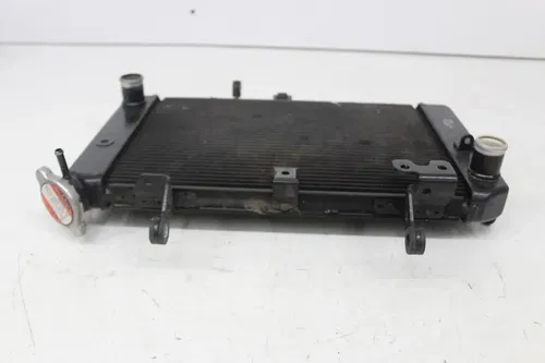 12-16 SUZUKI VSTROM 650 DL650 ENGINE COOLER COOLING RADIATOR RADIATER W/ FAN
