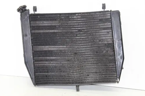 02-03 YAMAHA YZF R1 ENGINE RADIATOR MOTOR COOLER COOLING RADIATER