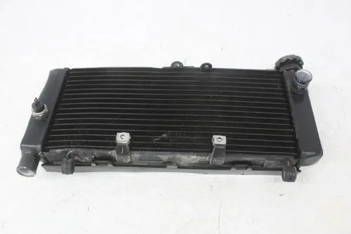 04-06 Honda Cb600f Hornet 599 Engine Radiator Motor Cooler Cooling Radiater fan
