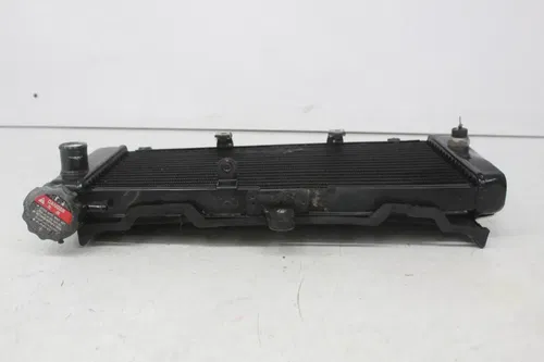 04-06 Honda Cb600f Hornet 599 Engine Radiator Motor Cooler Cooling Radiater fan