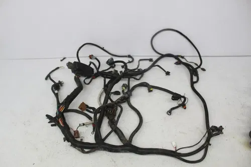 15-25 Polaris Sportsman Xp 1000 Main Engine Wiring Harness Motor Wire (see descp
