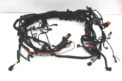 19-23 HARLEY DAVIDSON FLTRXS ROAD GLIDE MAIN ENGINE MOTOR WIRE WIRING HARNESS