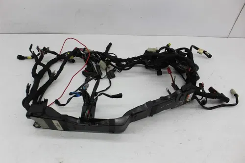 19-23 HARLEY DAVIDSON FLTRXS ROAD GLIDE MAIN ENGINE MOTOR WIRE WIRING HARNESS