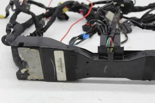 19-23 HARLEY DAVIDSON FLTRXS ROAD GLIDE MAIN ENGINE MOTOR WIRE WIRING HARNESS