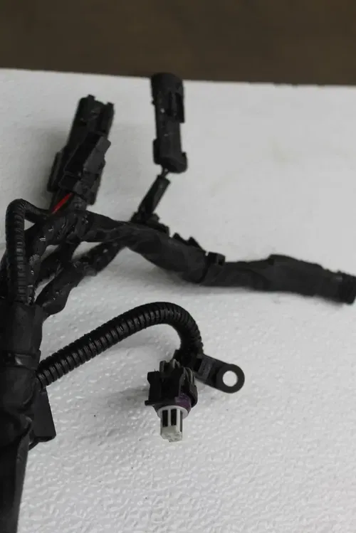 19-23 HARLEY DAVIDSON FLTRXS ROAD GLIDE MAIN ENGINE MOTOR WIRE WIRING HARNESS