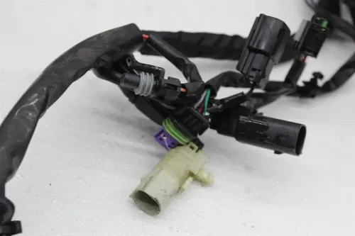 19-23 HARLEY DAVIDSON FLTRXS ROAD GLIDE MAIN ENGINE MOTOR WIRE WIRING HARNESS