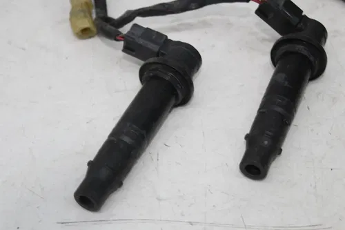 06-15 YAMAHA FZ1S IGNITION COILS COIL SPARK PLUG CAPS WIRE HARNESS