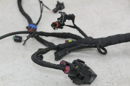 18 BMW G310GS G310 MAIN ENGINE WIRING HARNESS MOTOR WIRE LOOM