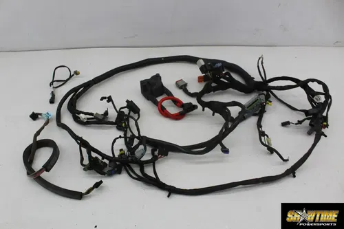 00-06 HARLEY-DAVIDSON DYNA WIDE GLIDE FXDWGI MAIN ENGINE WIRING HARNESS (READ)