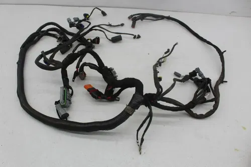 00-06 HARLEY-DAVIDSON DYNA WIDE GLIDE FXDWGI MAIN ENGINE WIRING HARNESS (READ)