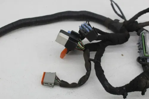 00-06 HARLEY-DAVIDSON DYNA WIDE GLIDE FXDWGI MAIN ENGINE WIRING HARNESS (READ)