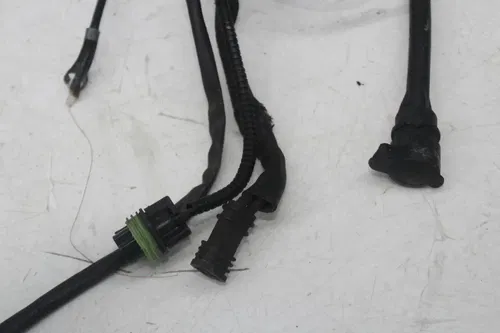 07-11 Harley-davidson Flhtcui Classic Electra Glide Main Engine Wiring harness