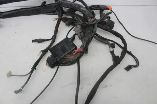 07-11 Harley-davidson Flhtcui Classic Electra Glide Main Engine Wiring harness