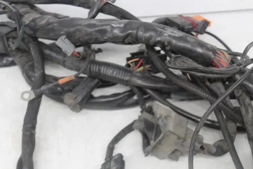 07-11 Harley-davidson Flhtcui Classic Electra Glide Main Engine Wiring harness