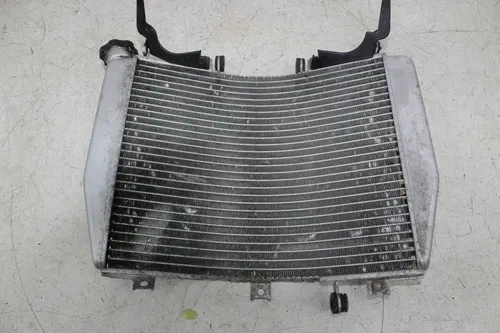 00-02 KAWASAKI NINJA ZX6R ENGINE RADIATOR MOTOR COOLER COOLING RADIATER (READ)