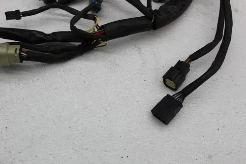 07 HARLEY-DAVIDSON HERITAGE SOFTAIL FLSTC MAIN ENGINE WIRING HARNESS MOTOR WIRE
