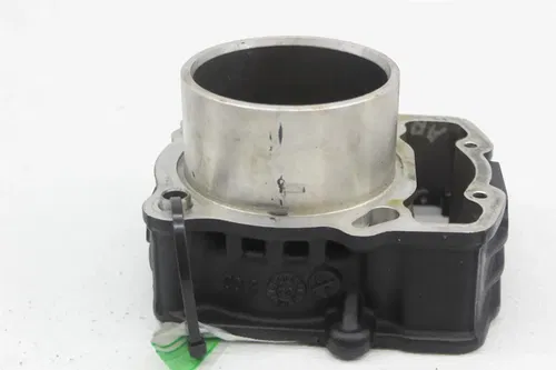 24-25 TRIUMPH SPEED 400 ENGINE MOTOR CYLINDER PISTON BLOCK (SEE DESCP)