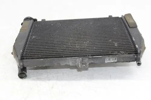99-02 YAMAHA YZF R6 ENGINE RADIATOR MOTOR COOLER COOLING RADIATER W/ FANS
