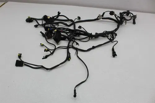05-07 DUCATI MONSTER S2R 800 MAIN ENGINE BODY WIRE WIRING HARNESS LOOM