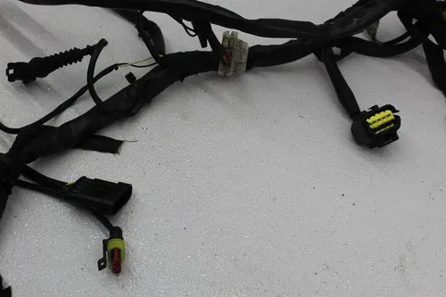 05-07 DUCATI MONSTER S2R 800 MAIN ENGINE BODY WIRE WIRING HARNESS LOOM