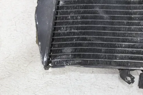 06-09 YAMAHA YZF R6S R6 ENGINE RADIATOR MOTOR COOLER COOLING RADIATER FAN (READ)