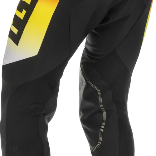Fly Racing Evolution DST (L.E.) Pants