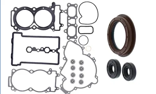 Polaris RZR 900 Gasket And Seal Kit