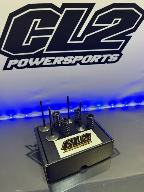 2019-2023 Yamaha YZ250F WR250F YZ250FX  Valves With Springs - Intake & Exhaust