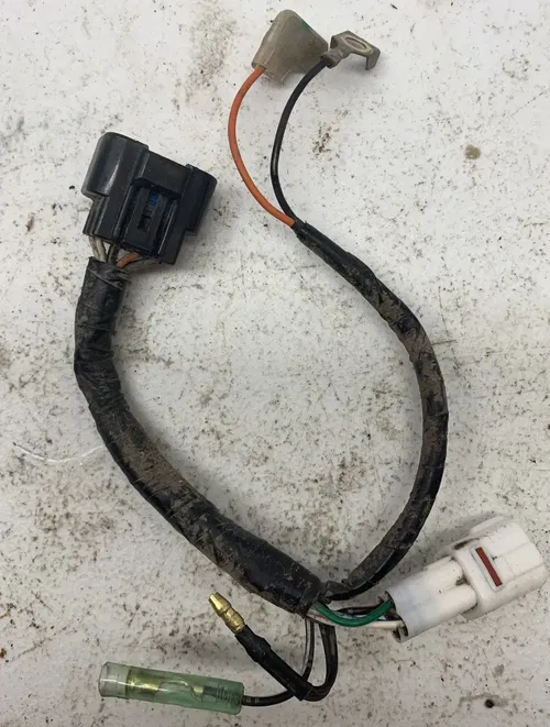 2001 Yamaha TTR125 Wire Harness 5HP-82590-00-00
