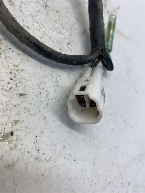 2001 Yamaha TTR125 Wire Harness 5HP-82590-00-00