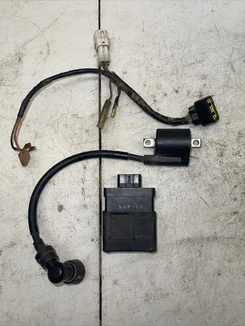2002 YAMAHA TTR125L OEM CDI w/COIL WIRE HARNESS 5HP-88540-01-00