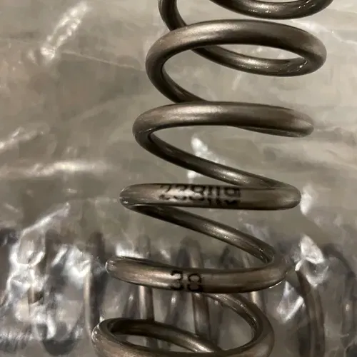 Fork Springs - Race Tech