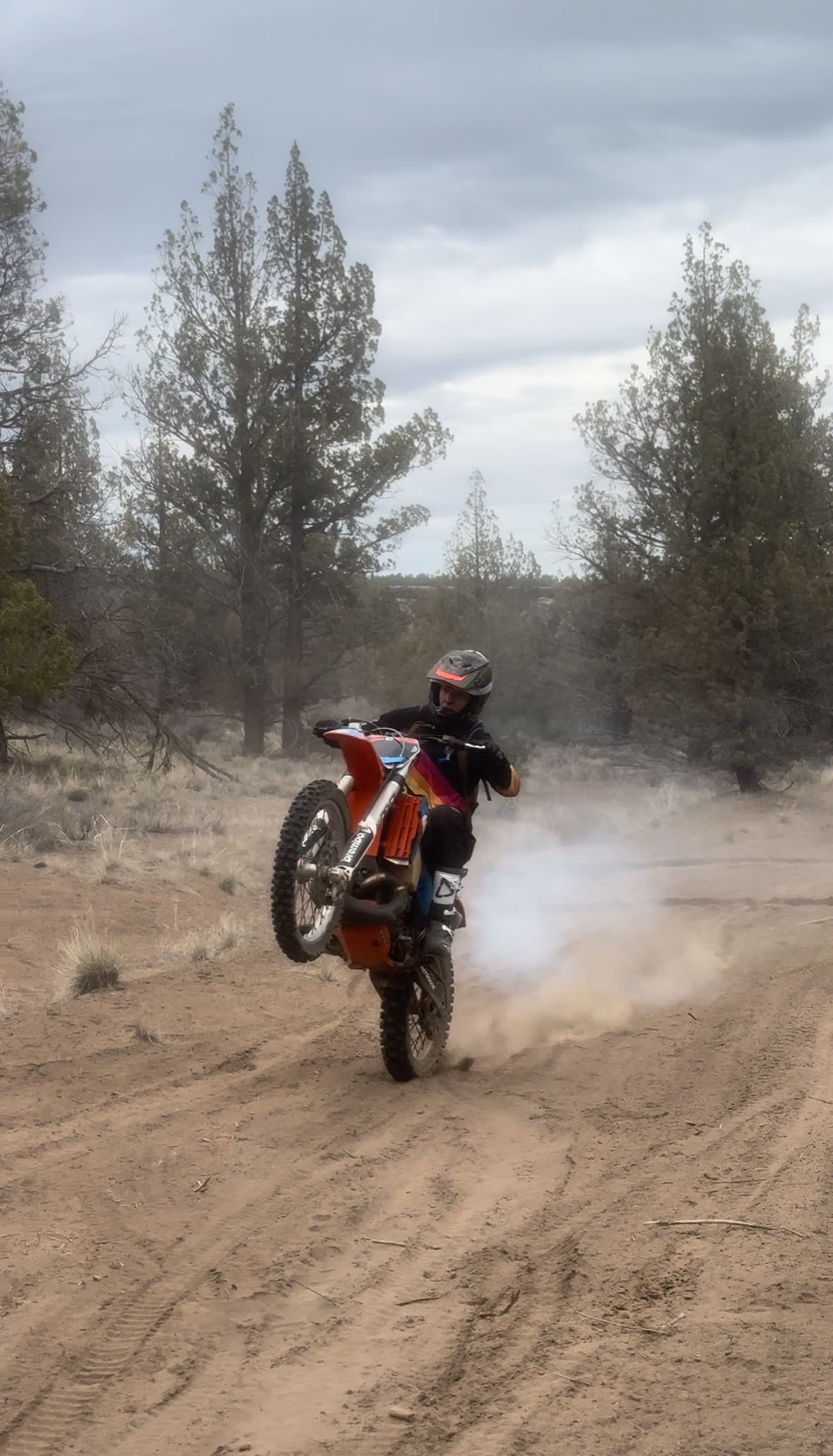 HighDesertDirt