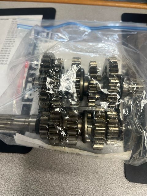 Gas Gas 5 speed transmission