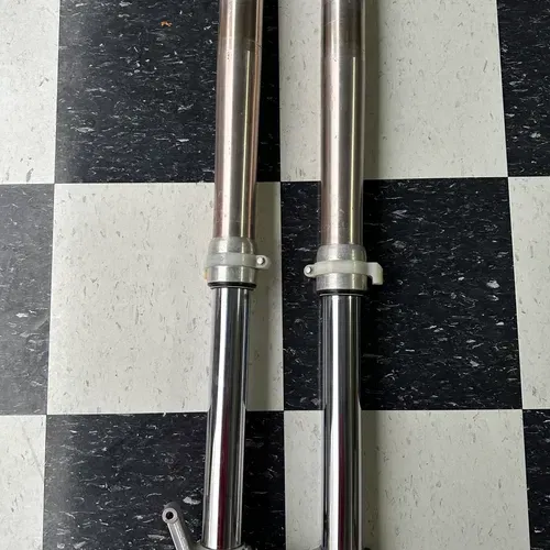 Kx250 two stroke forks