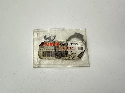 92-98 YAMAHA 250 TIMBERWOLF / 99-04 BEAR TRACKER CENTRIFUGAL CLUTCH LOCK WASHER