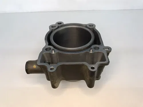 USED OEM 16-22 POLARIS 570 SPORTSMAN RZR RANGER CYLINDER JUG 99MM