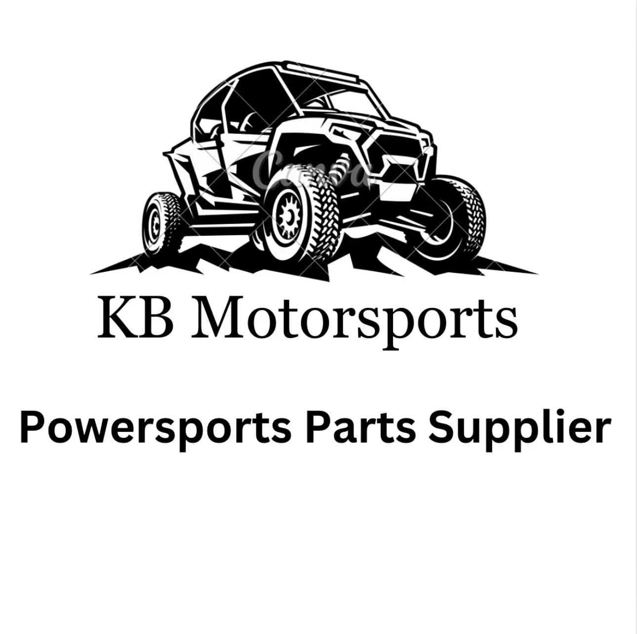 2004 Yamaha Big Bear 400 Centrifugal Clutch Assembly