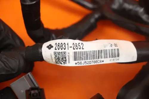 2020-2024 KAWASAKI Z900 OEM MAIN ENGINE WIRING HARNESS MOTOR WIRE LOOM *NO CUTS*