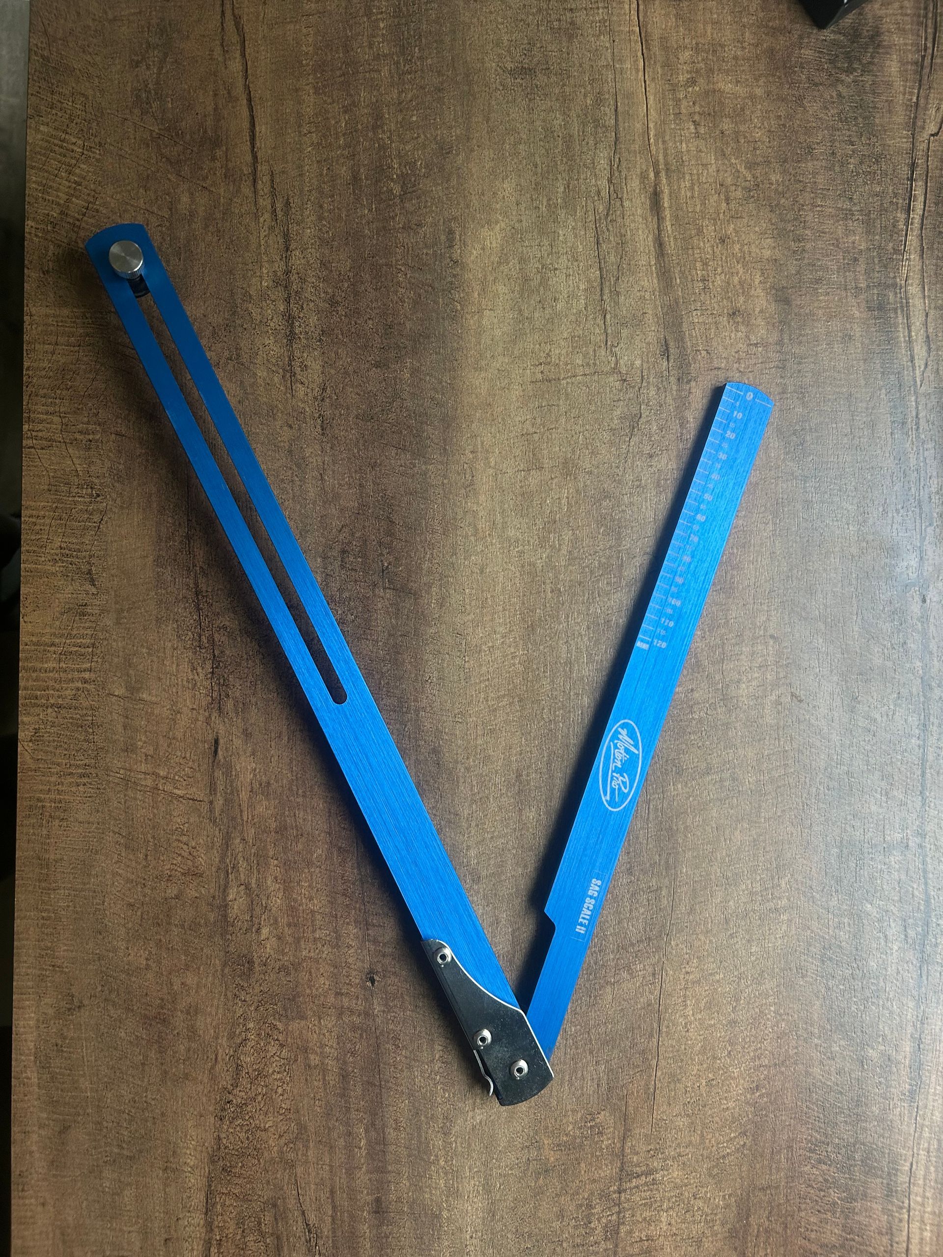 Motion Pro Sag Scale 