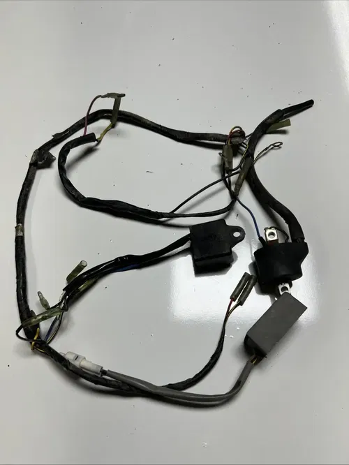 2003 kawasaki kdx200 Cdi/coil/ Wiring Harness