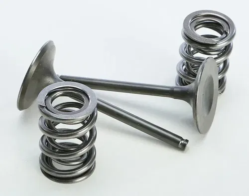 Pro X 28.SIS4409-2 Steel Valves and Spring Kits