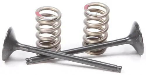 Pro X 28.SES2414-1 Steel Valves and Spring Kits