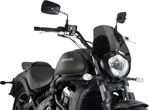 PUIG 3175F Naked New Generation Windshield