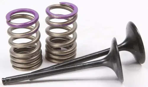 Pro X 28.SIS4338-2 Steel Valves and Spring Kits